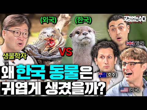 Why have endangered animals reappeared in the heart of Seoul? | Chat Without Borders EP.84