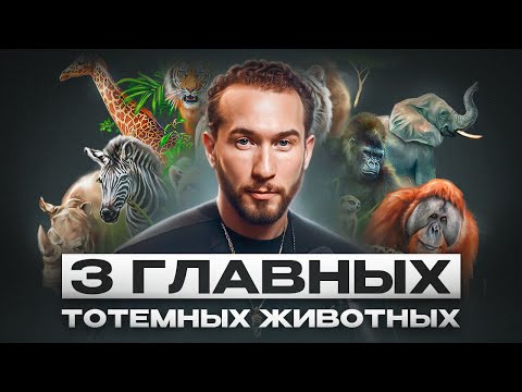 ТРИ ГЛАВНЫХ ДУХА, которые изменят вашу жизнь: Раскрываю тайну тотемных животных