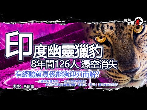 印度幽靈獵豹【恐怖過鬼EP003】8年間126人 憑空消失? 有經驗就真係能夠迎刃而解?一分鐘前有護有笑，一秒之間影都唔見?是幽靈惡魔? 還是比「天災」還可怕的存在?｜天災人禍獸殺｜不解之迷｜未知生物