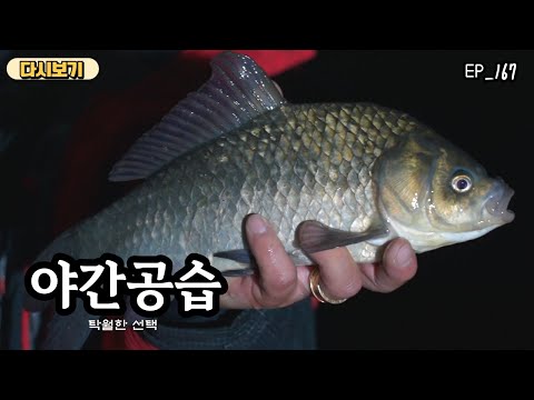 [다시보기] 야간공습 167회 탁월한 선택