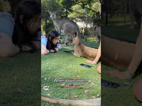 Down under and face to face with the locals π¨π¦π¦πΊ #australia #downunder