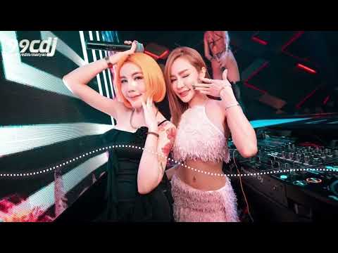 99CDJ 『 揉碎夜的光 〤 出卖 〤 芽 〤 好想抱住你 〤 美人鱼 〤 从前说 〤 三生三幸 〤 爱怎么了 〤 烟幕 〤 你不在故事里 』 Manyao Remix 2k25