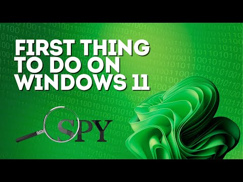 First Thing to Do on Windows 11