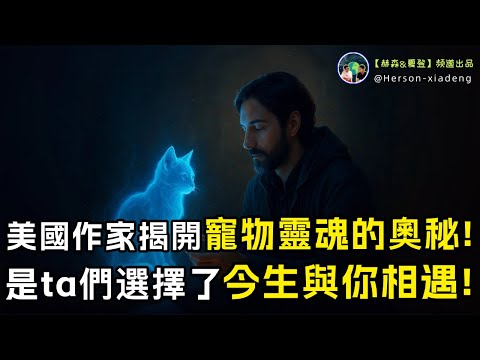 美國作家揭開寵物靈魂的奧秘,是ta們選擇了今生與你相遇|赫森&夏登