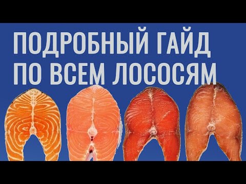 Гайд по лососям. Как выбирать, как солить, как выжать из рыбы всё.