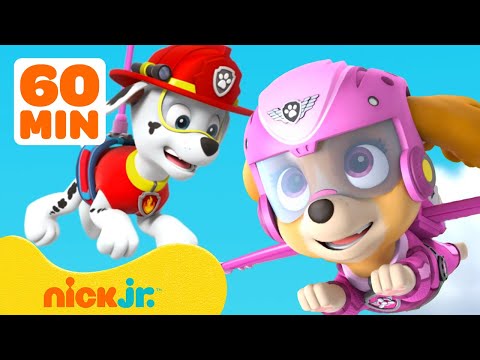 PAW Patrol Feels Big Feelings! 💗 1 Hour Compilation | Nick Jr.