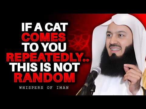 If a Cat Comes to You Repeatedly… This Is Not Random