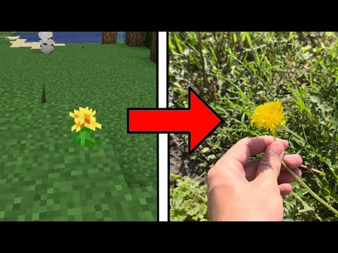 How Many Minecraft Items can I Find in Real Life?
