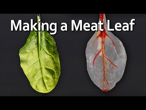 A Leaf Made of... Meat??