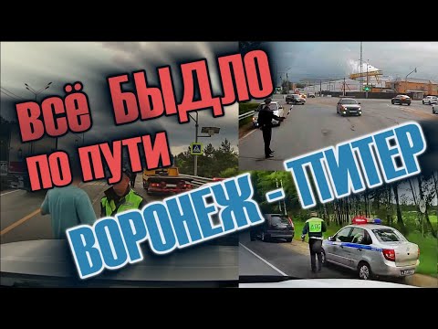 Всё БЫДЛО с поездки Воронеж-Питер и обратно. Выпуск №71 лето 2025