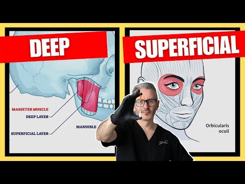 The Best Botox Injection Depths | Botox Injection Depth Guide