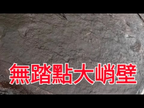 The sheer cliff with no footholds looked especially treacherous in the rain; every step required ...