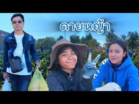 วันนี้! ดายหญ้าน้องเมก 18 ธันวาคม ค.ศ. 2025