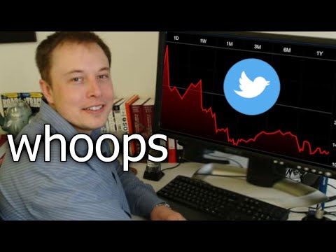 The Absolute Chaos of Elon‘s Twitter Takeover