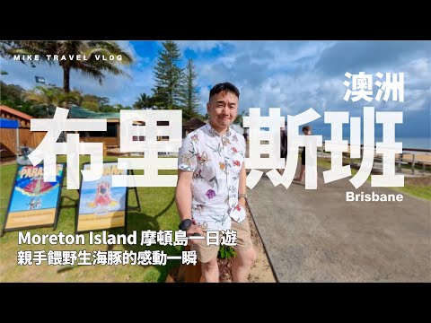 【澳洲・布里斯班】親手餵海豚的感動一瞬-Tangalooma｜Moreton島一日遊｜本地人度假熱點 #mikeyuen #澳洲旅行 #昆士蘭 #摩頓島 #moretonisland  #自由行 
