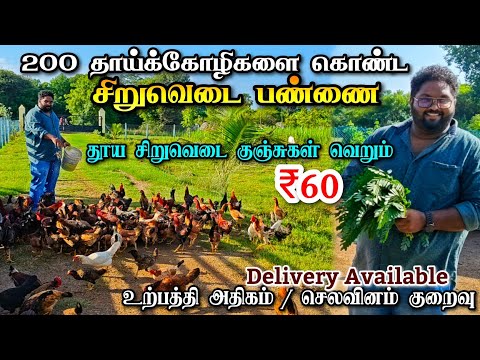 200 தூய சிறுவெடை தாய்க்கோழிகள் பண்ணை | பகுதிநேர கோழி வளர்ப்பில் அசத்தும் பண்ணையாளர் | RedJungle Farm
