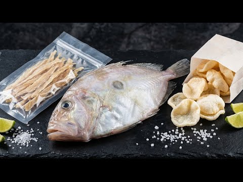 How John Dory Fish Becomes Dried Fillet Strips & Crispy Crackers | Factory Process