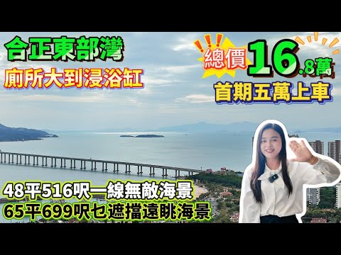廁所大到浸浴缸！16.8萬直情拿下，最高端海景筍盤|48平516呎一線無敵海景/65平699乜遮擋遠眺海景|首期5萬輕鬆上車【合正東部灣】超筍必睇!總價16.8萬|22.8萬#港人置業 #十里銀灘