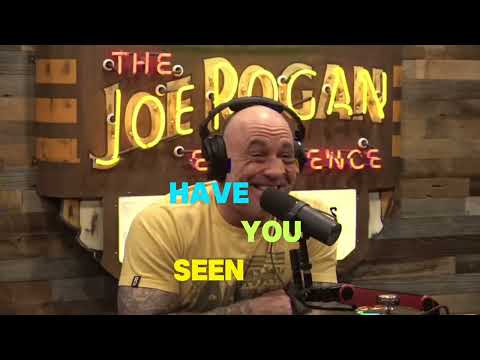 Joe Rogan and Tim Dillon Talk about putting in the work.