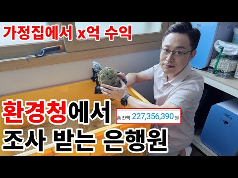 사과박스에 모래깔고 3억씩버는 현직 은행원(펫테크 끝판왕.환경청에서 조사 나오는집)