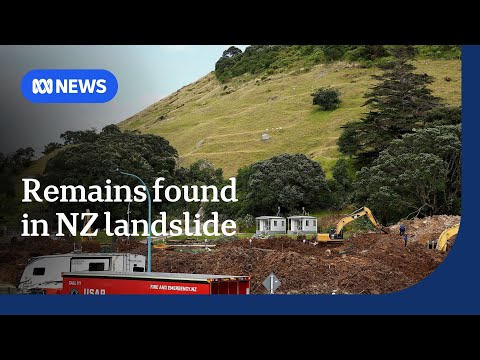 Human remains found at site of New Zealand landslide, search turns to recovery | ABC NEWS