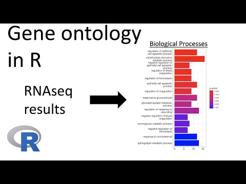 RNAseq analysis | Gene ontology (GO) in R