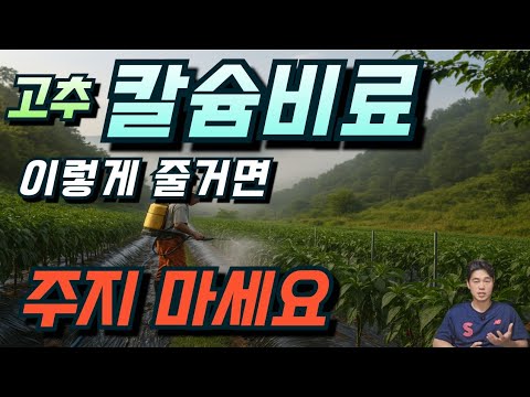 Why Calcium Deficiency Occurs Even When Given.