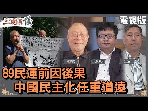 89民運前因後果｜中國民主化任重道遠｜#萬潤南 #矢板明夫 #汪浩｜@華視三國演議｜20230604