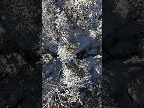 Pro's Guide to Winter Survival