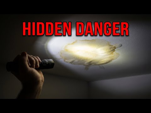 9 Hidden Signs of Water Damage Most Homeowners Miss