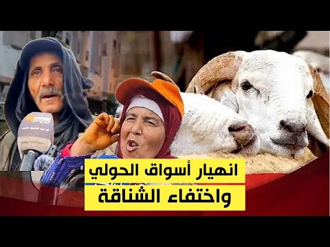 انهيار غير مسبوق لأسعار الغنم واختفاء الشناقة ، الكسابة يشتكون والمواطنون مستبشرون