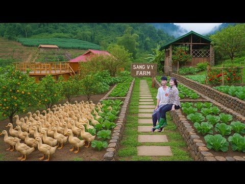Off-Grid Success Story | Organic Farm, Ducks & Self-Sufficient Homestead