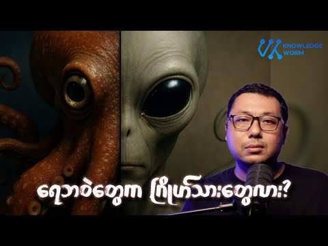 ရေဘဝဲတွေရဲ့ ဂြိုဟ်သားဆန်တဲ့ ဥာဏ်ရည်