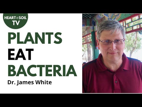 Rhizophagy Soil Science | Professor James White Jr. #soilscience #soilhealth