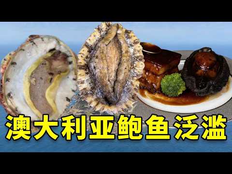 The once-a-year Australian fishing season has arrived, and top-quality seafood from China is surp...