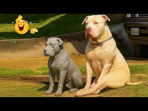HILARIOUS DOGS Being Weird 🤪 NEW Funniest Dogs Video 2026