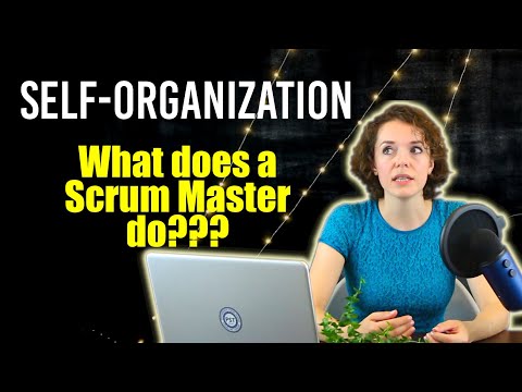 Self Organization and the role of a Scrum Master