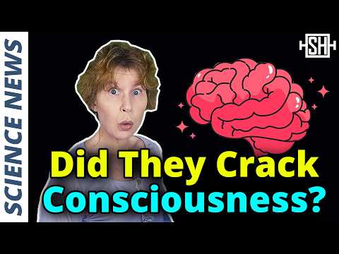 Researchers find major clue to consciousness