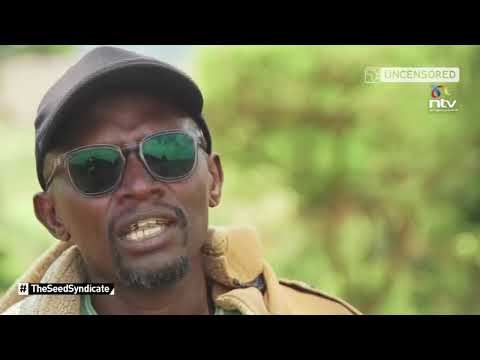 Court strikes down controversial seed law, ending over a decade of criminalising tradition farming