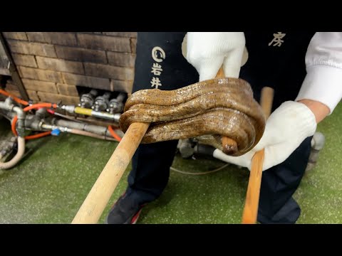 【製造動画】珈琲飴の作り方 / How to make candy / Japan / Kyoto / coffee / コーヒー飴