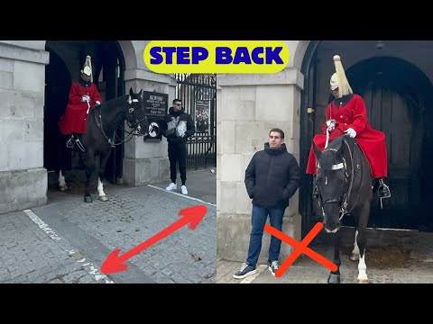 😡Attention! King’s Guard Speaks and Clears the Box 🚫