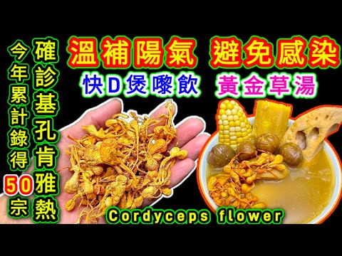蟲草花蓮藕栗子湯🏵️Cordyceps flowers soup with lotus root and chestnuts🥘