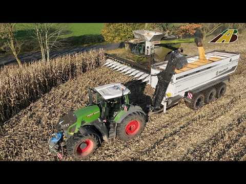 Giganten der Ernte | Fendt Traktor & 12 m Claas Mähdrescher im Körnermais-Einsatz 2025 bei Usedom