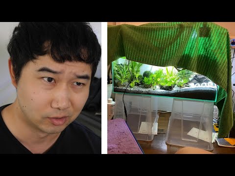 I found the MOST STRESSFUL Fish Tank Subreddit | Fish Tank Review 325