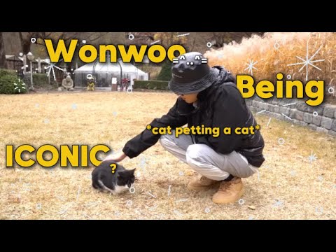 Wonwoo is so✨ICONIC✨#2
