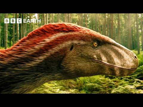 Utahraptors Hunting in the Forest | Walking with Dinosaurs | BBC Earth