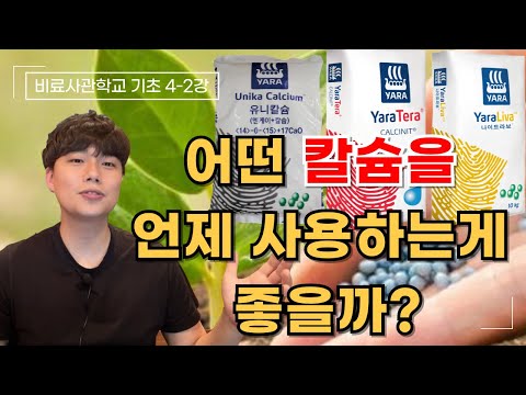 시기마다 줘야하는 칼슘의 종류는 다릅니다! 언제 어떤 칼슘을 줘야 좋을까? 질산칼슘, 염화칼슘, 소석회, 생석회 시기 알려드립니다 | 비료사관학교 기초 4-2강 | 농사 100단