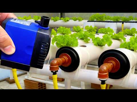 💧How to make hydroponic system at home
