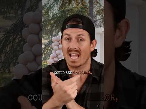 Gender Reveal Party Gone HORRIBLY Wrong!