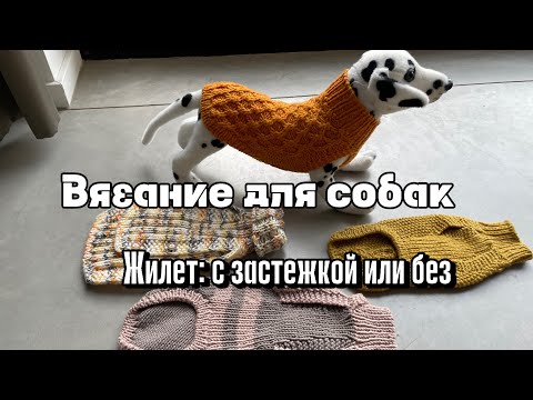 Вязание для собак: жилет- с застежкой или без